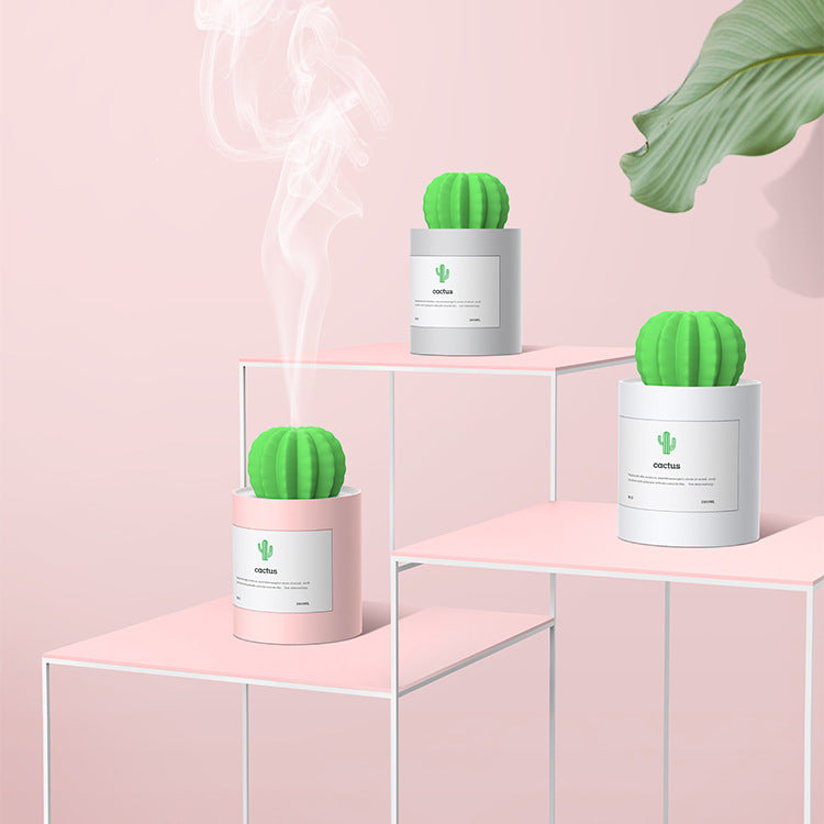 CACTUS LUCHTBEVOCHTIGER - DIFFUSER - AROMATHERAPIE