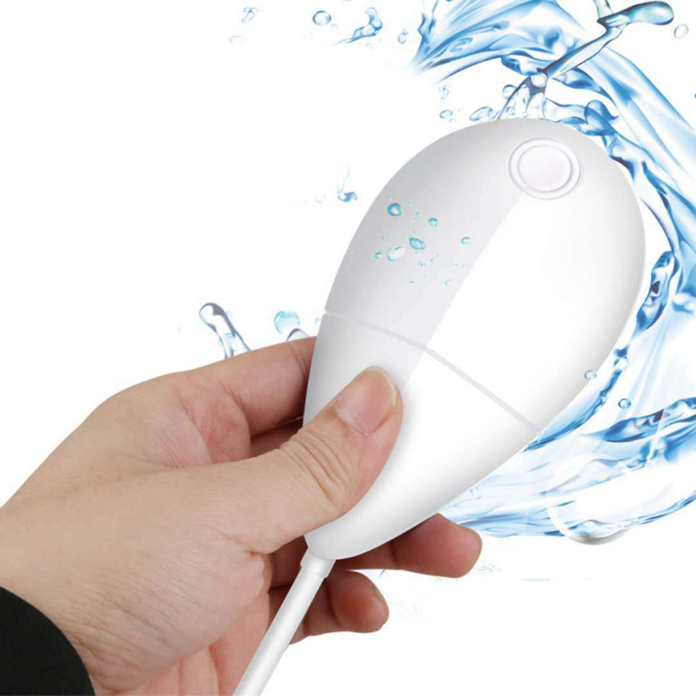 ULTRASOON REINIGER