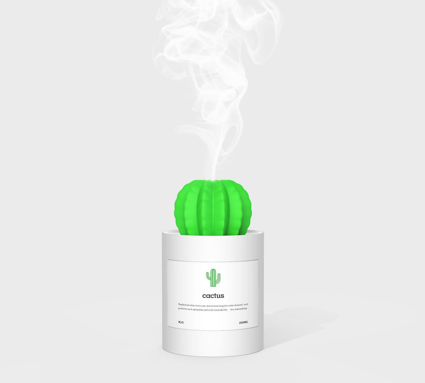 CACTUS LUCHTBEVOCHTIGER - DIFFUSER - AROMATHERAPIE