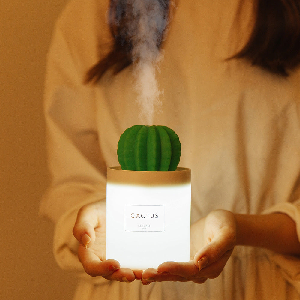 CACTUS LUCHTBEVOCHTIGER - DIFFUSER - AROMATHERAPIE