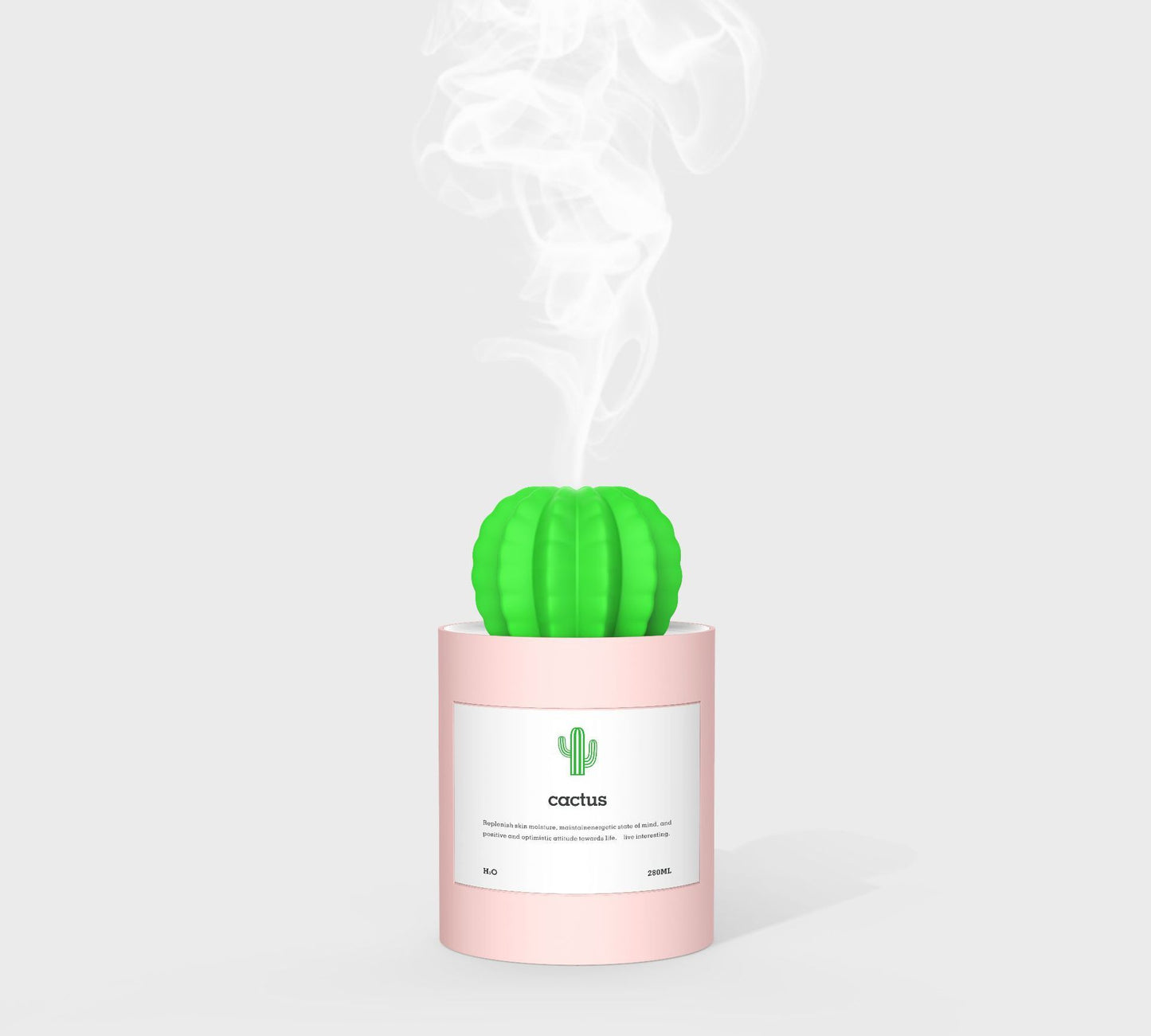 CACTUS LUCHTBEVOCHTIGER - DIFFUSER - AROMATHERAPIE