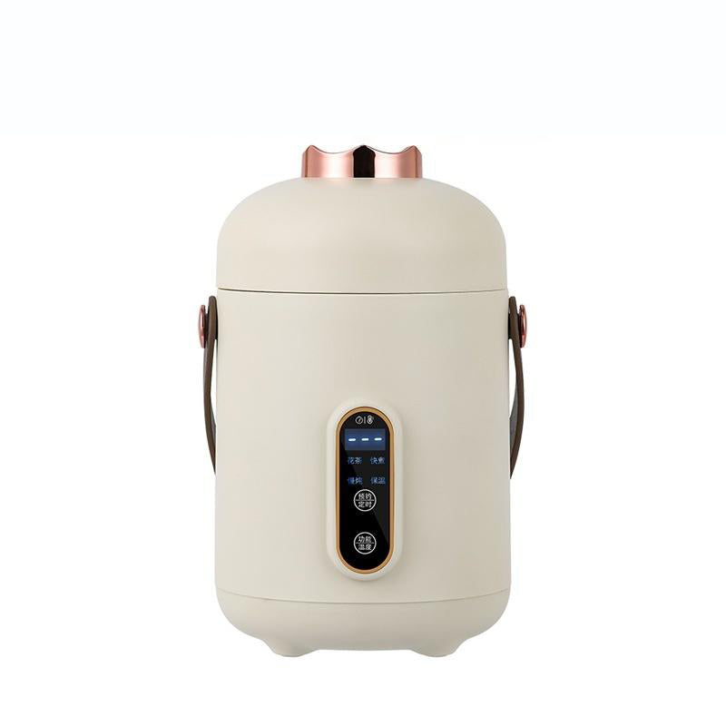 DRAAGBARE ELEKTRISCHE SMART STOOFKOKERMACHINE