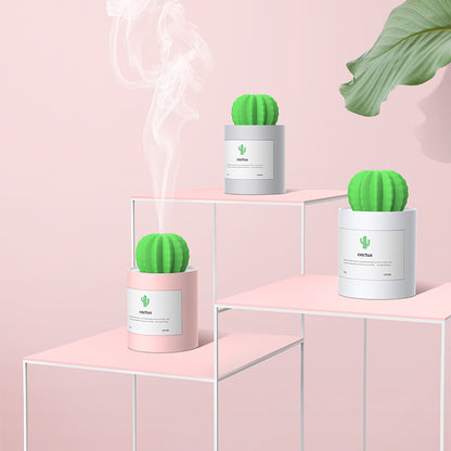 CACTUS LUCHTBEVOCHTIGER - DIFFUSER - AROMATHERAPIE