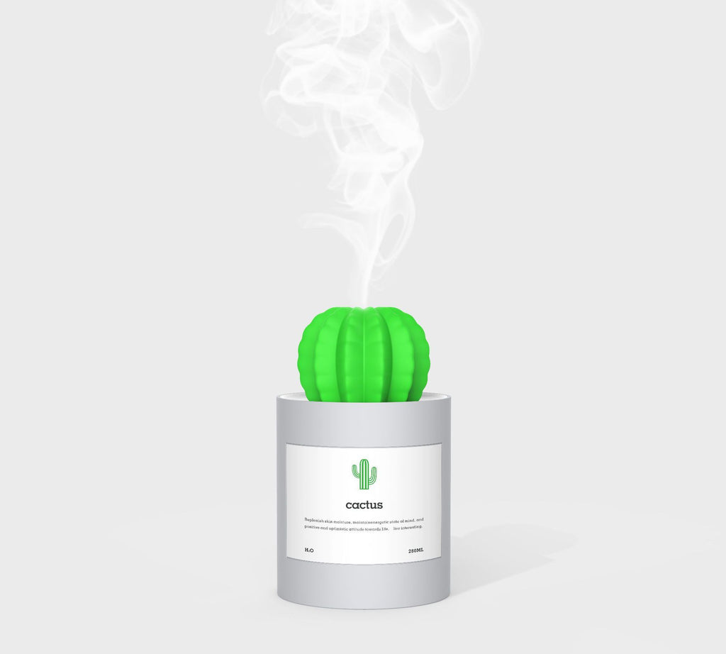 CACTUS LUCHTBEVOCHTIGER - DIFFUSER - AROMATHERAPIE