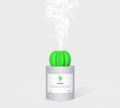 CACTUS LUCHTBEVOCHTIGER - DIFFUSER - AROMATHERAPIE