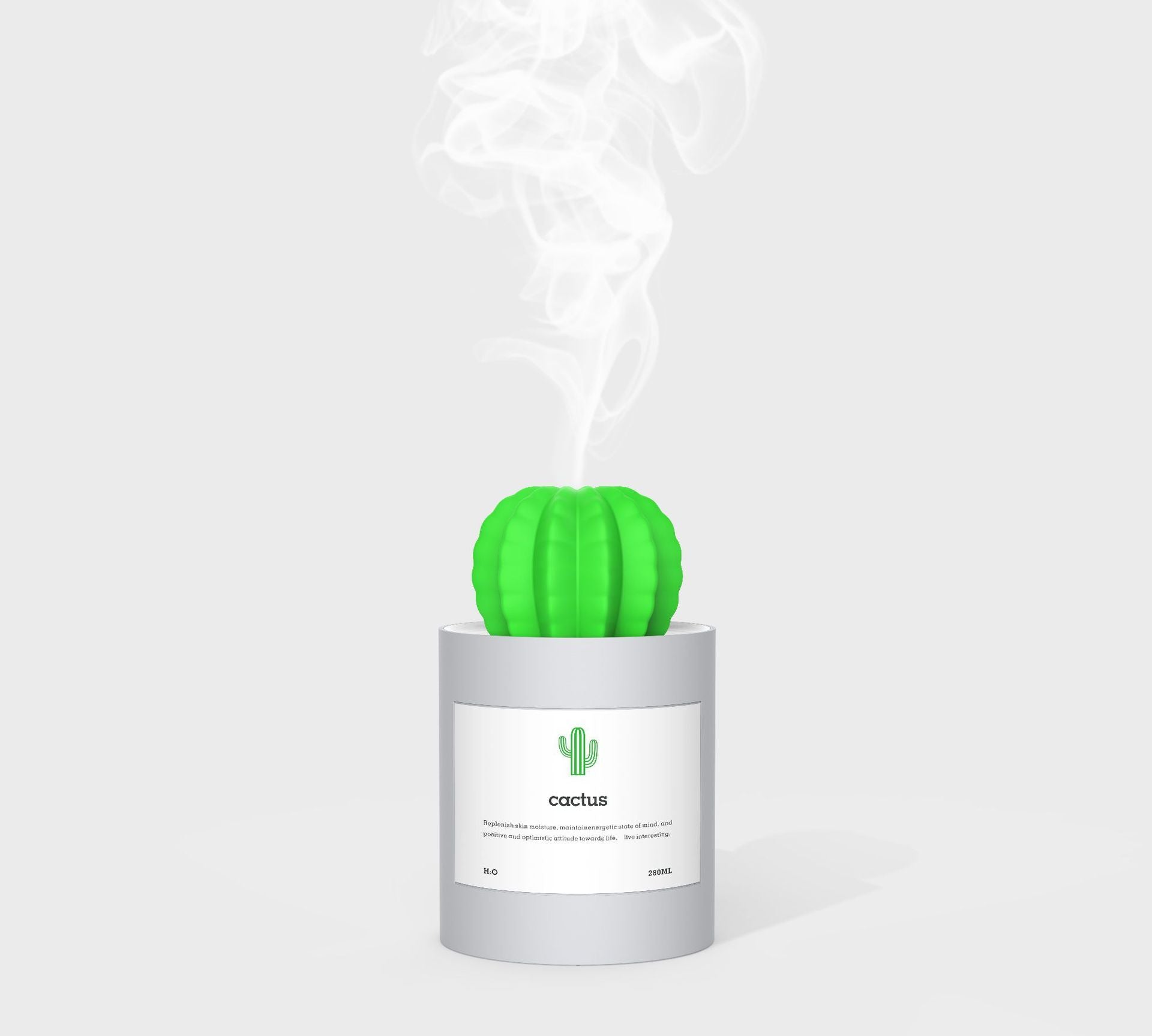 CACTUS LUCHTBEVOCHTIGER - DIFFUSER - AROMATHERAPIE