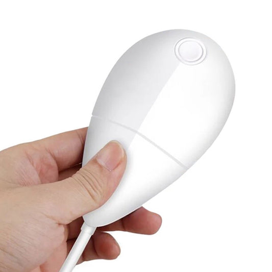 ULTRASOON REINIGER