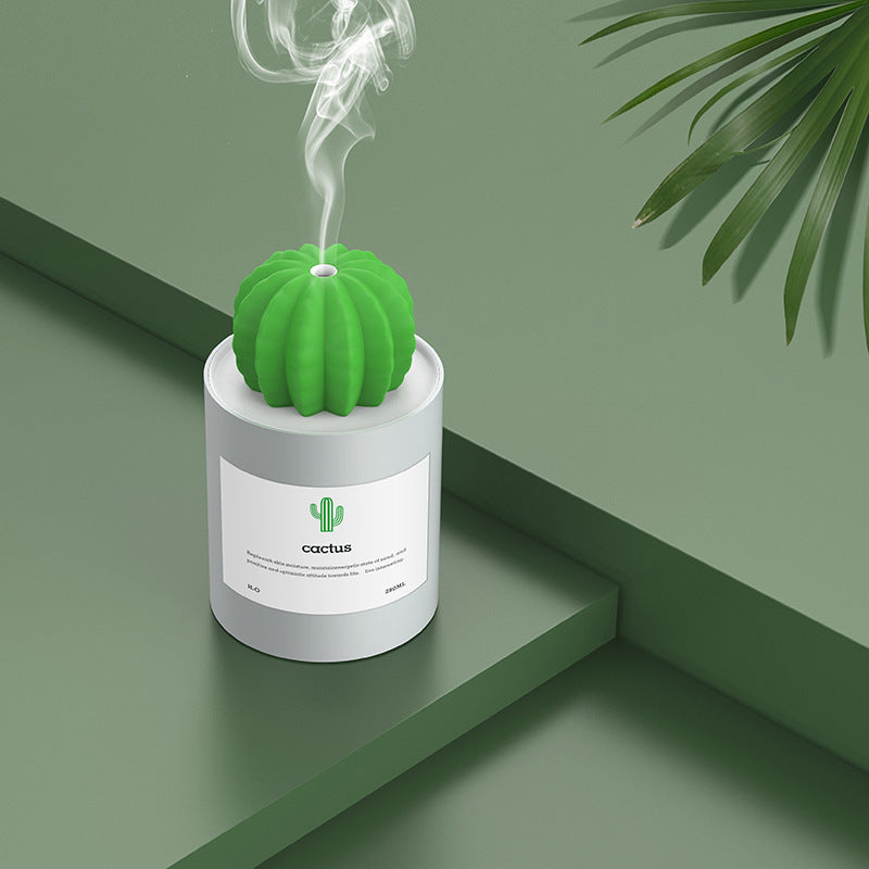 CACTUS LUCHTBEVOCHTIGER - DIFFUSER - AROMATHERAPIE