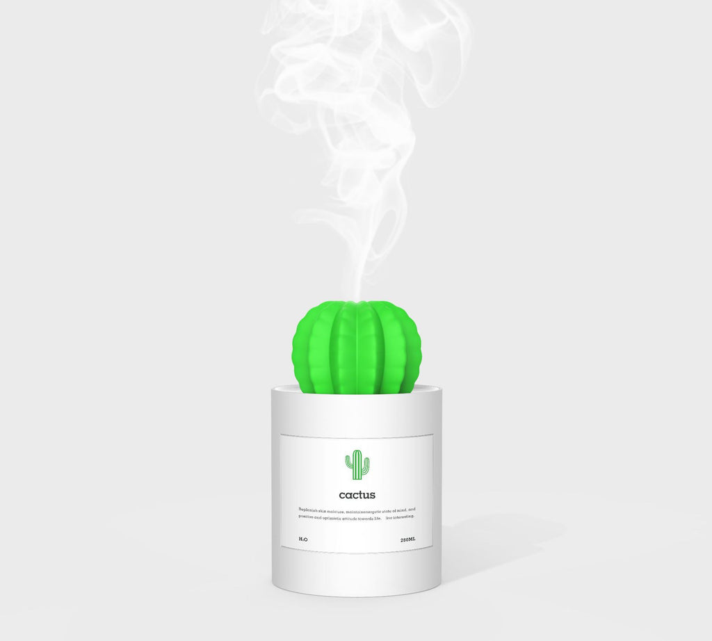 CACTUS LUCHTBEVOCHTIGER - DIFFUSER - AROMATHERAPIE