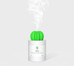 CACTUS LUCHTBEVOCHTIGER - DIFFUSER - AROMATHERAPIE