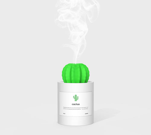 KAKTUS-LUFTBEFEUCHTER - DIFFUSOR - AROMATHERAPIE