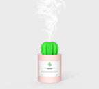 CACTUS LUCHTBEVOCHTIGER - DIFFUSER - AROMATHERAPIE