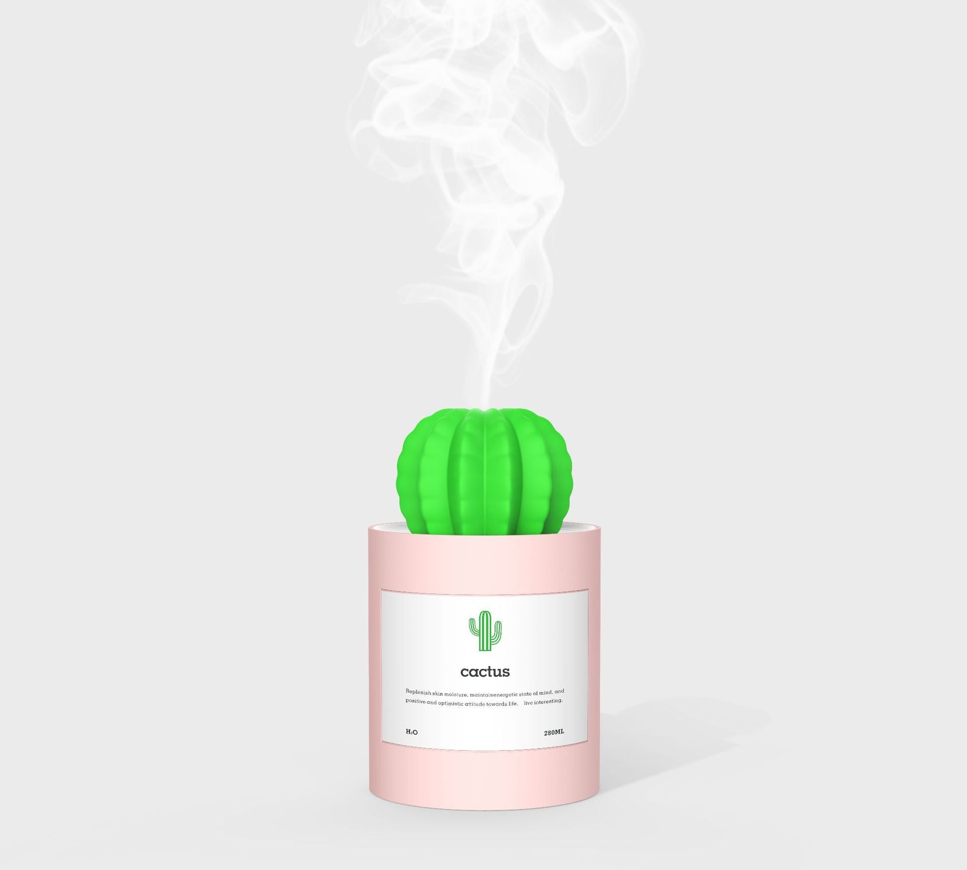 CACTUS LUCHTBEVOCHTIGER - DIFFUSER - AROMATHERAPIE
