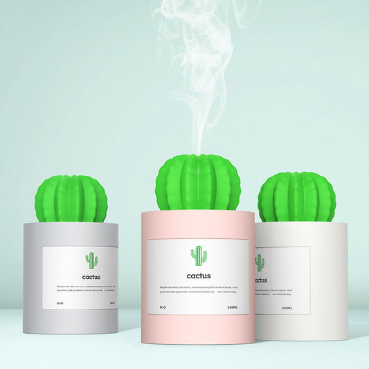 CACTUS LUCHTBEVOCHTIGER - DIFFUSER - AROMATHERAPIE